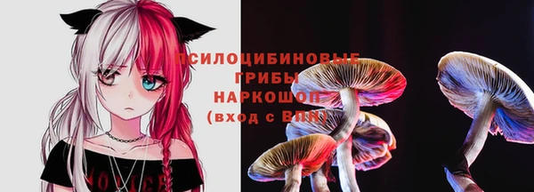 эйфоретик Алзамай