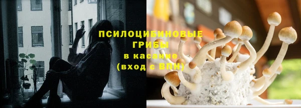бутират Алексин