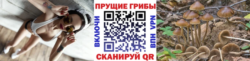 где можно купить наркотик  KRAKEN рабочий сайт  Псилоцибиновые грибы прущие грибы  Лебедянь 